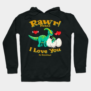 Rawr Means I Love You In Dinosaur, I Love You Design Hoodie